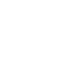 Termite Proof